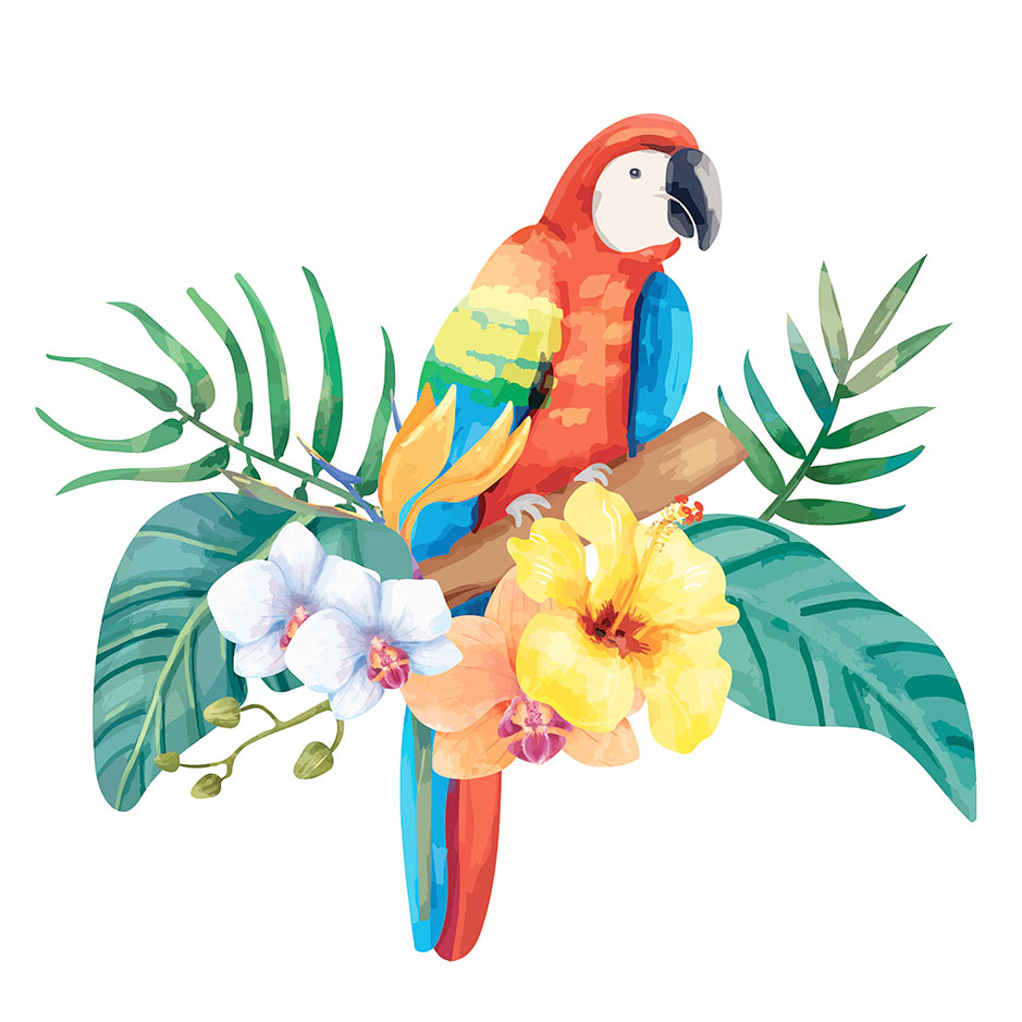 Parrot.jpg