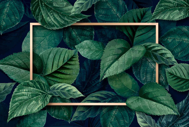 Nature Bg